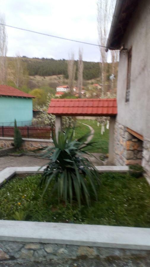 Guest House Green View Pirot Ngoại thất bức ảnh